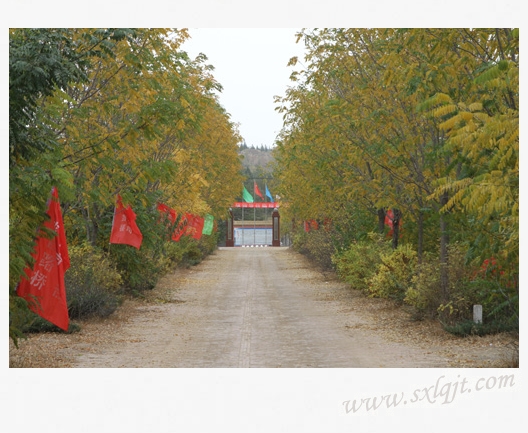 amjs澳金沙门线路(中国)有限公司首页