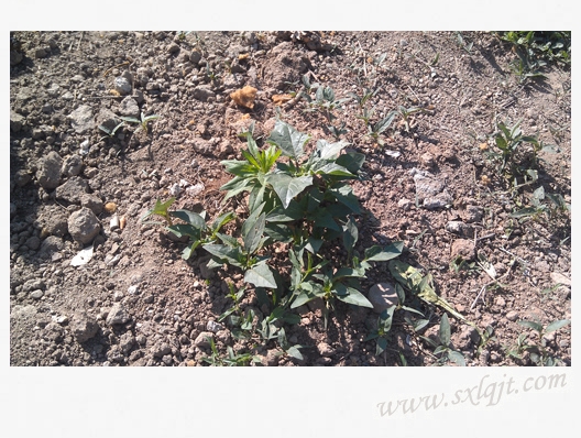 amjs澳金沙门线路(中国)有限公司首页