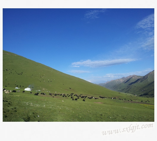 amjs澳金沙门线路(中国)有限公司首页