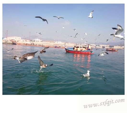 amjs澳金沙门线路(中国)有限公司首页