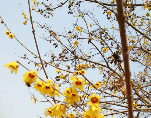 amjs澳金沙门线路(中国)有限公司首页