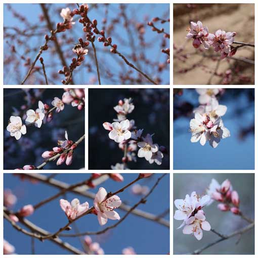 amjs澳金沙门线路(中国)有限公司首页