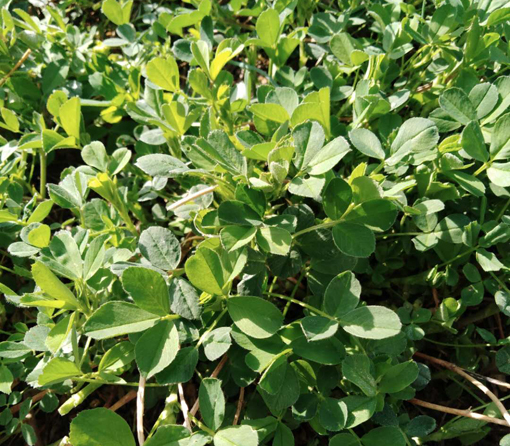 amjs澳金沙门线路(中国)有限公司首页