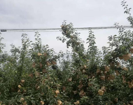 amjs澳金沙门线路(中国)有限公司首页