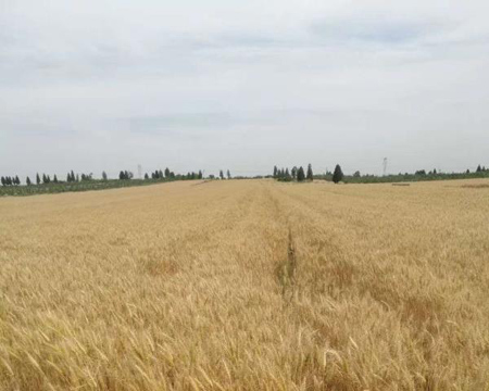 amjs澳金沙门线路(中国)有限公司首页