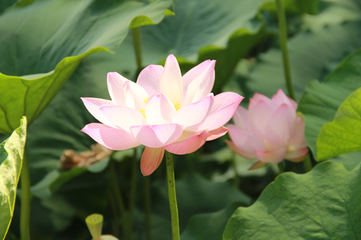 amjs澳金沙门线路(中国)有限公司首页