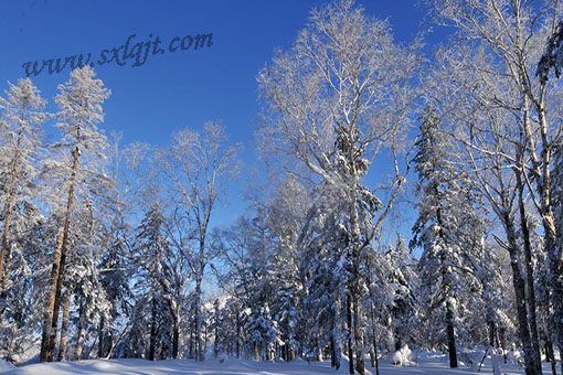amjs澳金沙门线路(中国)有限公司首页