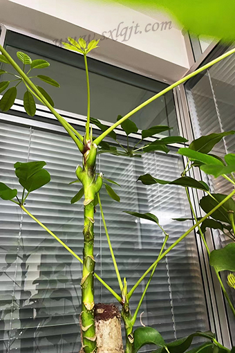 amjs澳金沙门线路(中国)有限公司首页